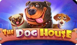 Betpanda – The Dog House